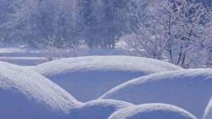 Футаж. Зимний пейзаж 86