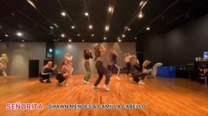 BLACKPINK LISA Dance Practice Compilation