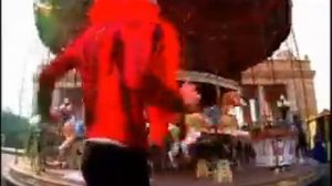 Трави бобров