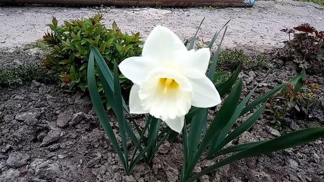 30 апреля 2022 г. смотреть онлайн