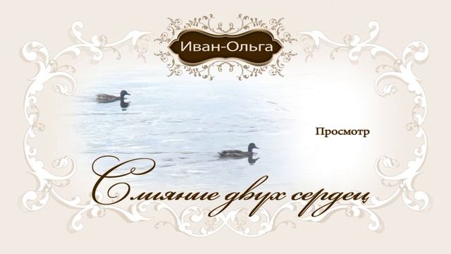 Пример меню DVD диска Ивана и Ольги смотреть онлайн