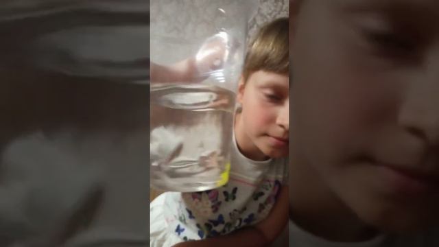 Антистресс-яйцо смотреть онлайн