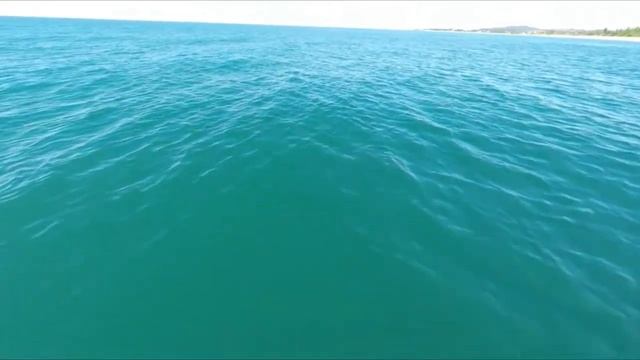 Как птицей стать? Мая Егорова. смотреть онлайн