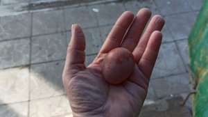 Налаживаем быт, как можем