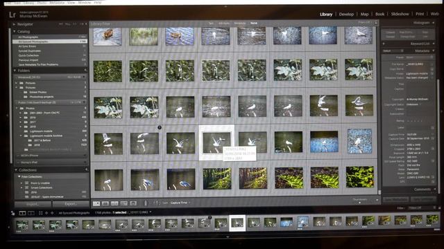Help my Lightroom Mobile Cloud Storage is full смотреть онлайн