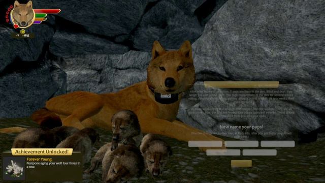 WolfQuest: AE | Как получить достижение "Forever Young" смотреть онлайн