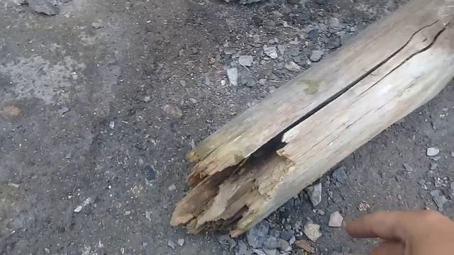 Бесплатная пропитка дерева! Обработка древесины от гниения и плесени! смотреть онлайн