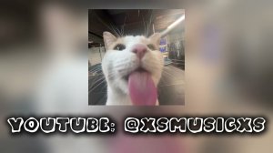 Давид Туров - Бабник speed up