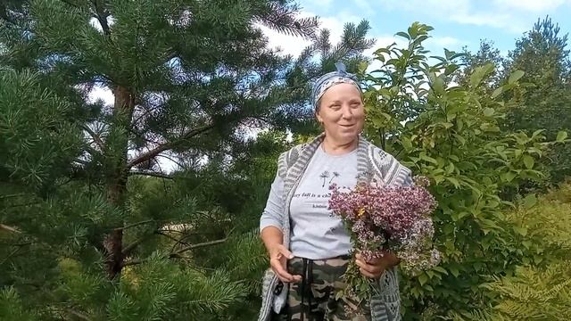 Выбрались на природу. смотреть онлайн