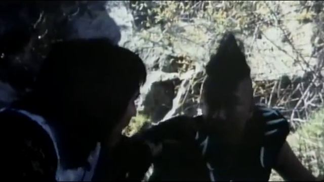 Kung Fu Rascals смотреть онлайн