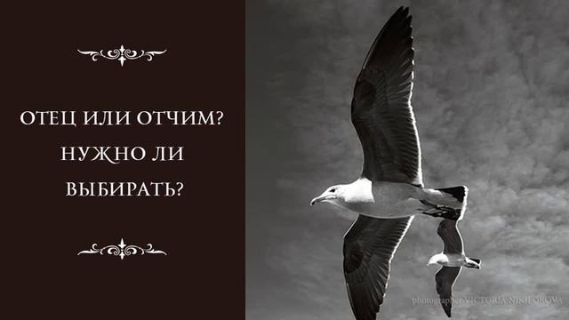 Отец или Отчим? Нужно ли выбирать? смотреть онлайн