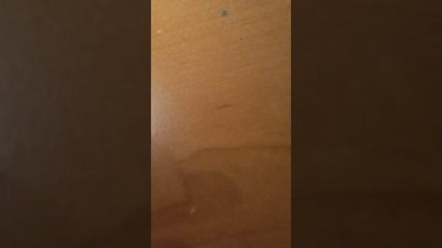 Как найти фазу с помощью светодиода смотреть онлайн