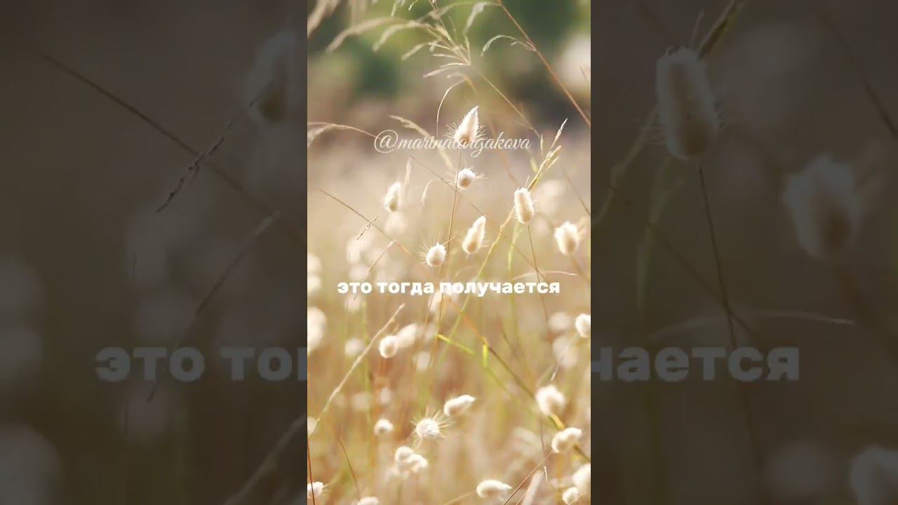 Красота- залог счастья. #маринатаргакова #отношения #счастье #женщина #леди #успех смотреть онлайн