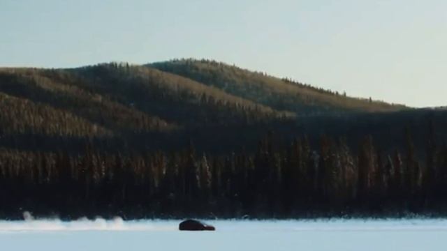 Что на самом деле представляет логотип Tesla? / Тайна Tesla