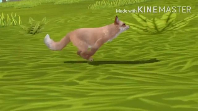 +Мой демон хранитель+Сериал+1/?+Вайлд Крафт+Крыса+ смотреть онлайн