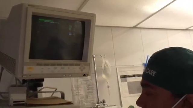 USO DEL MONITOR HP смотреть онлайн