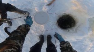 Налим пошел!!!Результативная рыбалка! Река Вилюй! Якутия! FULL HD! 11/12/21