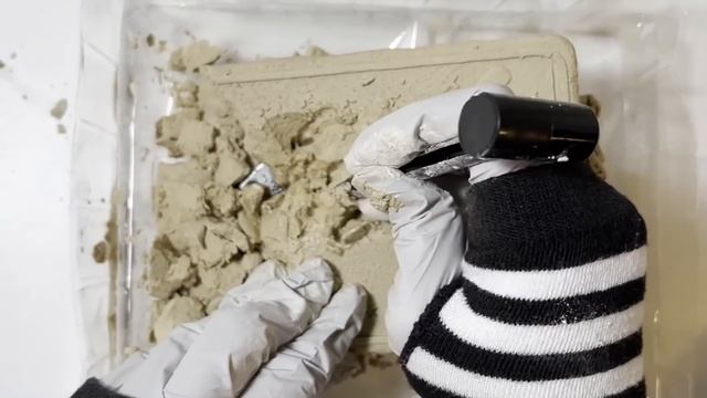 Mystery Bug Unveiling: Insect Life Excavation! смотреть онлайн