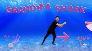 Baby Shark Dance | DJ Raphi Songs for Children