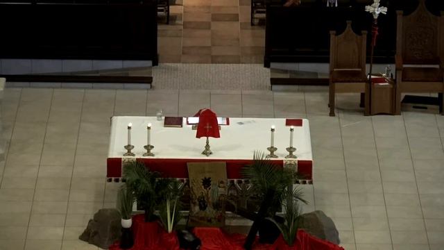 Domingo de Ramos en la Pasión del Señor | Marzo 24 del 2024 смотреть онлайн