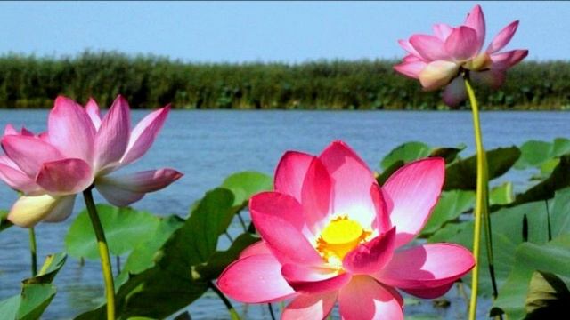 Закон Причины и Следствия. Изменяя сознание, меняешь реальность