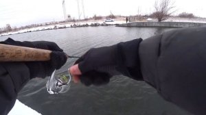 Бель на спиннинг зимой!  Рыбалка на теплом канале на отводной поводок