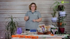 Какую выбрать лампу для рассады томатов? Тестируем фитолампы для рассады томатов. Наш эксперимент