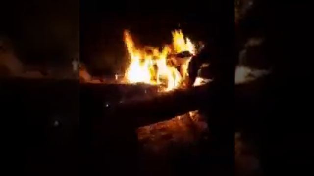 Ночной костёр в лесу | 5 часов звуки костра для сна и релакса смотреть онлайн