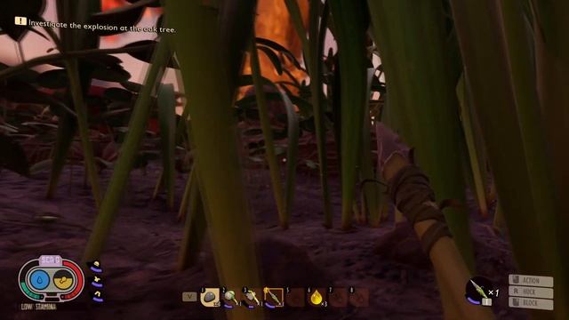 Grounded - How To Get Acorns - A Guide For Finding Acorns Fast смотреть онлайн