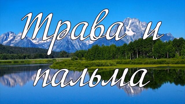 Трава и пальма Олег Збирун смотреть онлайн