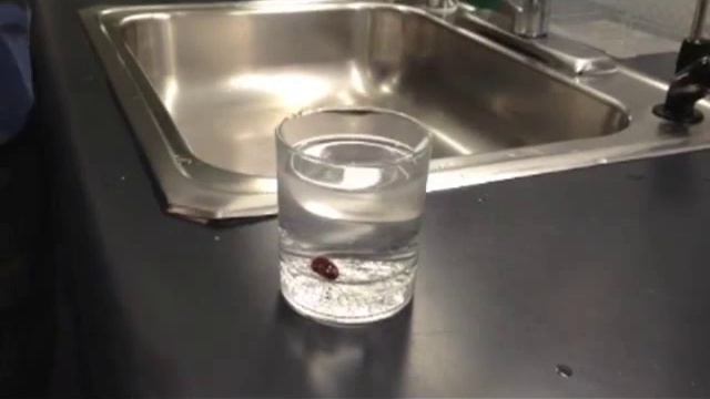 Do Raisins Float In Water? смотреть онлайн