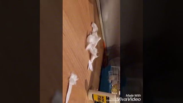 Бумажные ангелы своими руками/2 часть смотреть онлайн