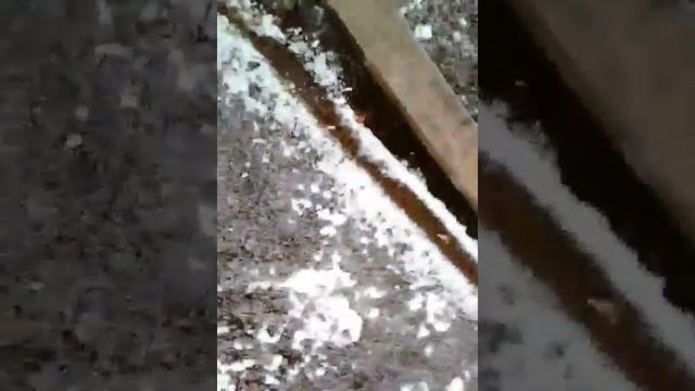 Трактор т 25 заводим смотреть онлайн