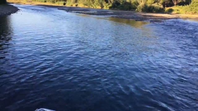 Рыба на Прикормку