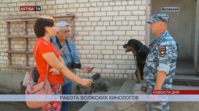 В Волжском грабитель не смог скрыться от служебной собаки смотреть онлайн