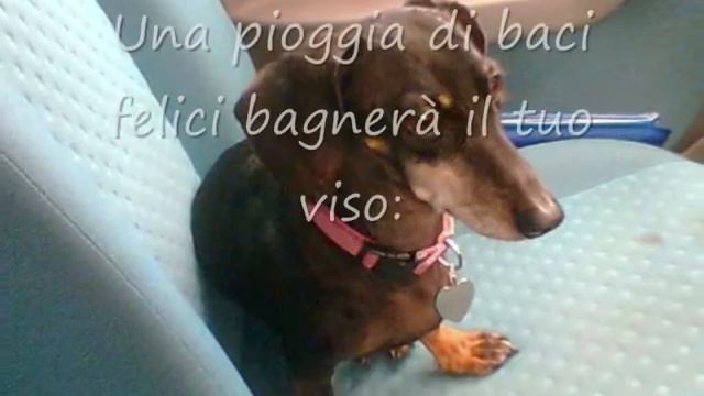 milla sempre nel mio cuore смотреть онлайн