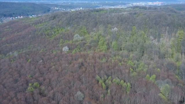 Film drona Xiaomi fimi x8 SE смотреть онлайн