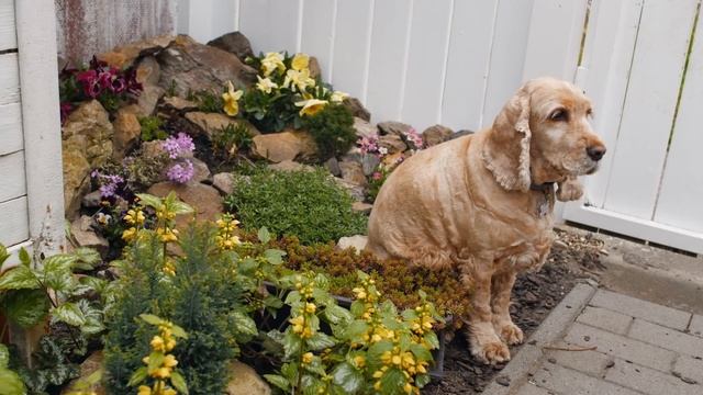 Kerti Csap Felújítása? - Kert és Szabadidő - Praktiker Magyarország
