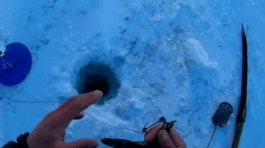 Капканы на щуку. Весна .Утренняя проверка