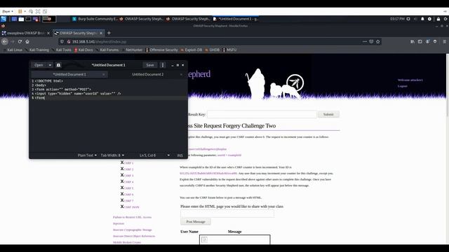 Security Shepherd Cross Site Request Forgery Lesson 1&2 смотреть онлайн