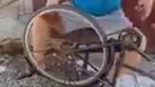 Профессиональная чистка подсолнухов смотреть онлайн