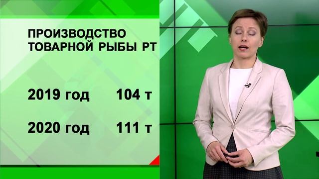 Экономика - Почему дорожает подсолнечное масло? смотреть онлайн