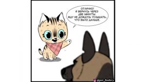 Пикси и Брут. 7 серия. Военное прошлое Брута | Мемозг #297