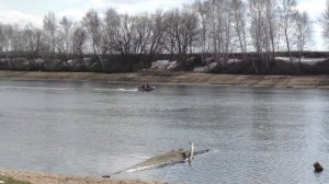 Роджер TROFEY 310