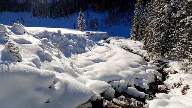 Anello Val Venegia: Giro delle Malghe da Passo Rolle смотреть онлайн