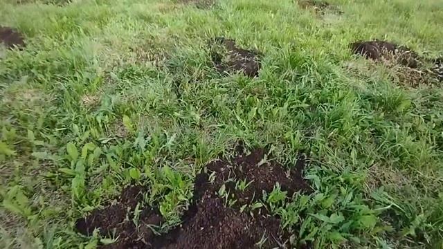 Gabby&Ready Вторая очередь. Лунки под столбы