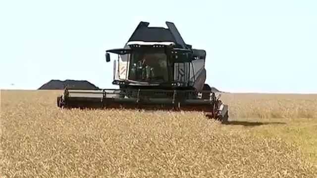 Новый зерноуборочный комбайн RSM 161 смотреть онлайн