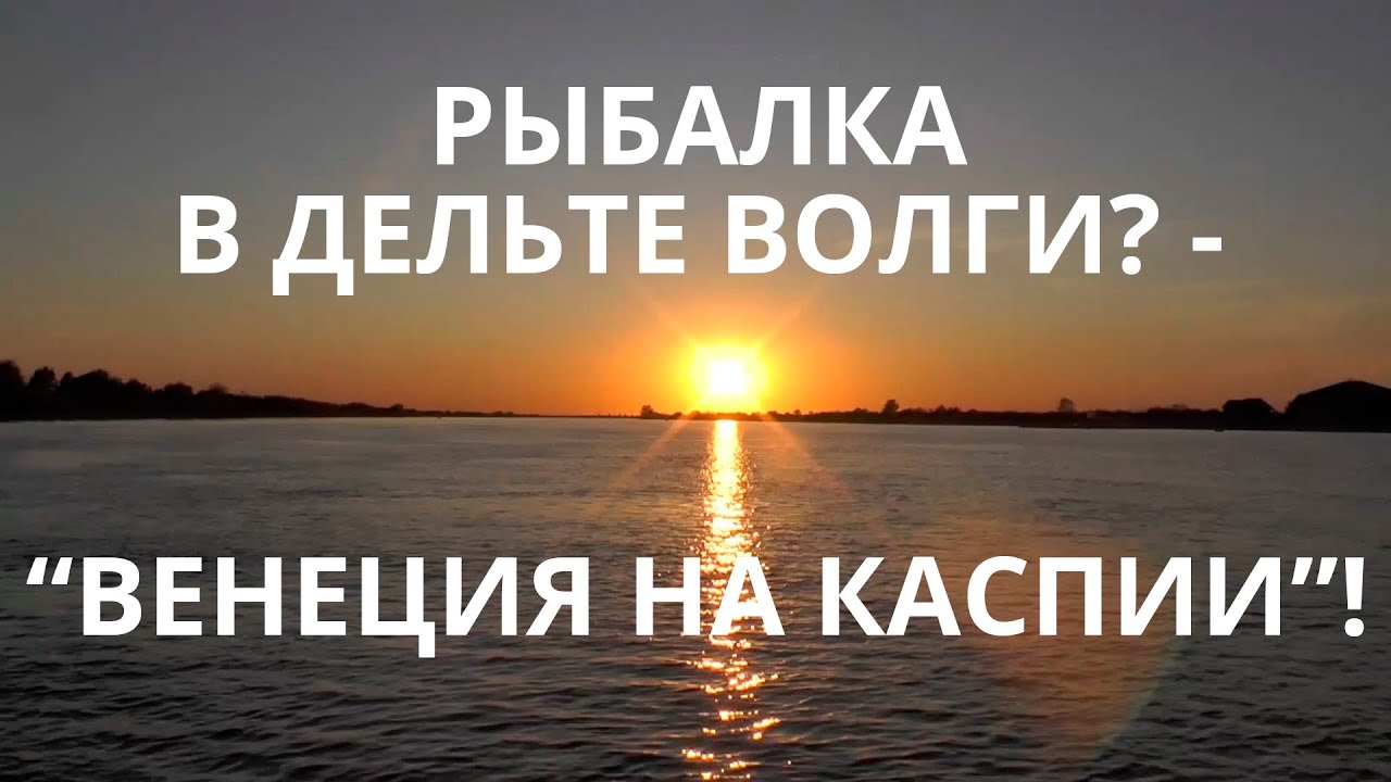 Рыбалка в дельте Волги? - "Венеция на Каспии"! смотреть онлайн