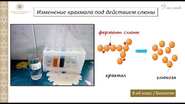 “Dərs vaxtı”: 8-ci sinif dərsləri ( rus bölməsi) (12.02.2021) смотреть онлайн