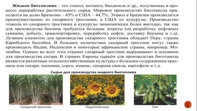 11 класс. Биологические ресурсы смотреть онлайн